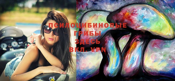 2c-b Ельня