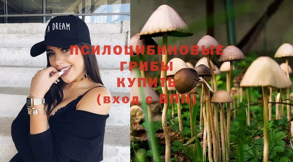 синтетический гашиш Алексеевка