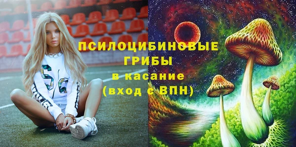 амф Алзамай