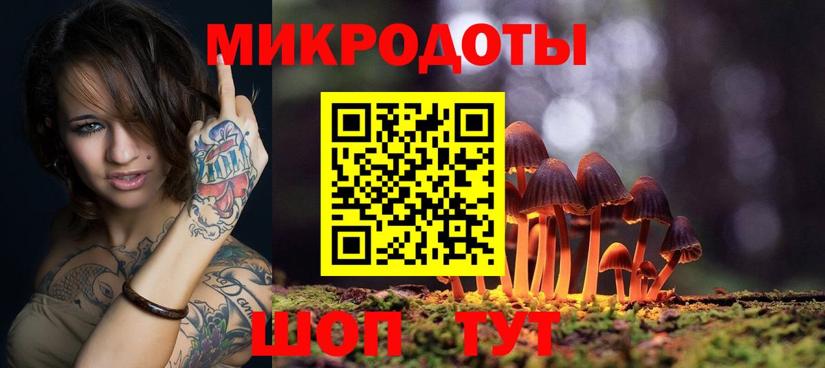 Владивосток  что такое   Вход с VPN  Псилоцибиновые грибы Psilocybe  Псилоцибиновые грибы Psilocybine cubensis 