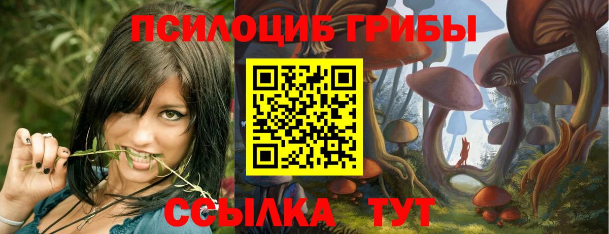 Галлюциногенные грибы ЛСД Владивосток